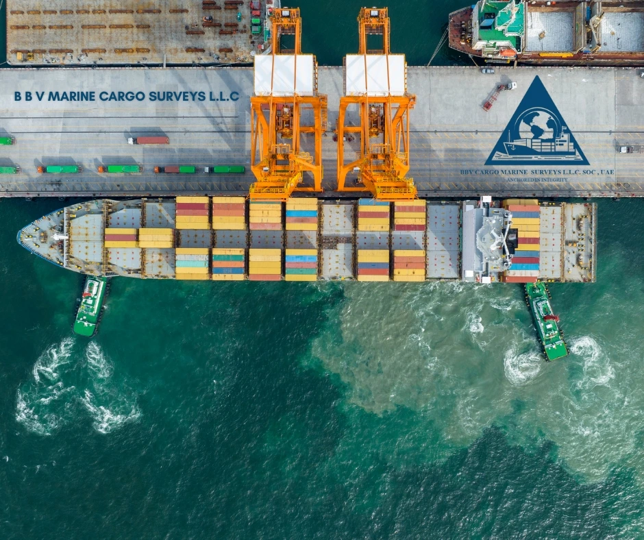 BBV Marine Survey Image